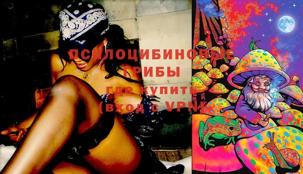 шишки Зеленокумск