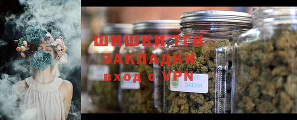 СК Зеленодольск