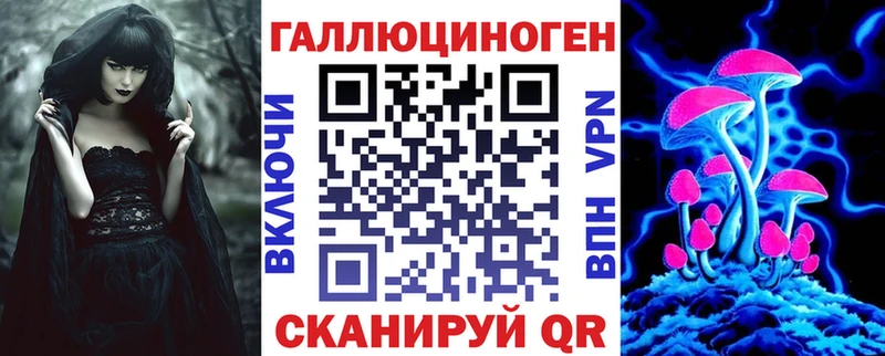 Псилоцибиновые грибы Psilocybe  Купить закладки  Моршанск 